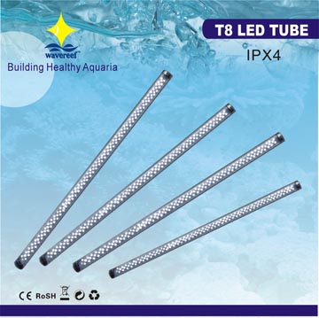 T8 LED TUBE