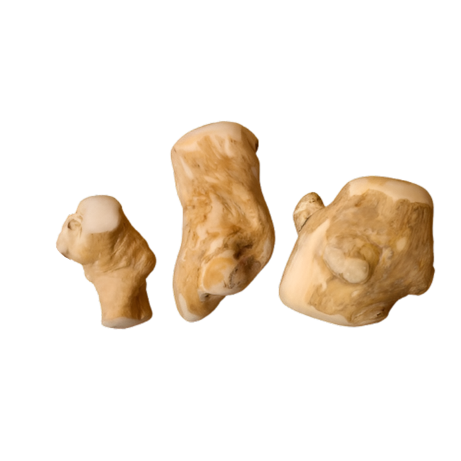 Dog Chew Coffee Wood Gorilla